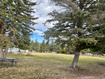 Photo 5 for 3078 S Malablue Dr