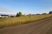 Photo 4 for 702  Lakeside Dr