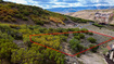 Photo 4 for 695 E Canyon Gate Rd