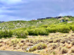 Photo 1 for 695 E Canyon Gate Rd
