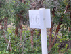 Photo 6 for 695 E Canyon Gate Rd