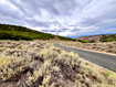 Photo 5 for 695 E Canyon Gate Rd