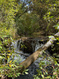 Photo 1 for 13 E Birch Creek Dr