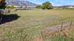 Photo 2 for 4633 S Highway 89