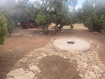 Photo 4 for 45711 W Colt Rd #131