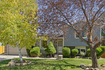 Photo 1 for 2949 S Winston Dr