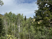 Photo 2 for 8576  The Meadow Rd #4
