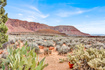 Photo 6 for 1657 N Kayenta Dr