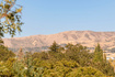 Photo 6 for 1572 S Sunset Oaks Dr