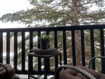 Photo 4 for 2325  Sidewinder Dr #823