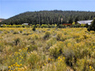Photo 4 for 776  Aspen Meadow Dr