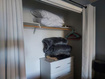 Photo 4 for 286 W Eagles Roost St #a108