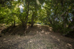 Photo 5 for 11169 N 2000 E
