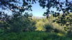 Photo 6 for 2522 N Nordic Valley Dr