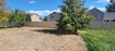 Photo 6 for 7724 N Silver Ranch Rd