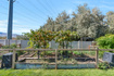 Photo 5 for 1752  S Weeping Willow Way