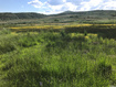 Photo 4 for 60  Corral Rd
