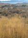Photo 5 for 2822  Bunch Grass Dr