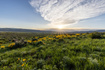 Photo 6 for 1115 E Hoyt Peak Ranch Rd