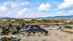 Photo 2 for 2819 S Mcqueen Ln #108