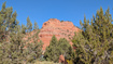 Photo 1 for 1369 S Stewart Dr