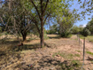 Photo 1 for 3698 N Driftwood Ln