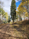 Photo 3 for 771  Porcupine Loop