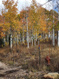 Photo 5 for 771  Porcupine Loop