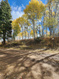 Photo 1 for 771  Porcupine Loop