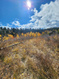 Photo 4 for 771  Porcupine Loop