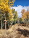 Photo 6 for 771  Porcupine Loop