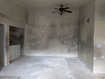 Photo 3 for 955 E Creekhill Ln #31