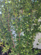Photo 6 for 6319 W 13400 S