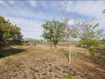 Photo 2 for 635 E Wildrose Dr