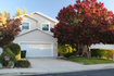 Photo 1 for 3228 W Meadow Leaf Ct