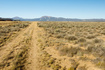 Photo 4 for 2455 E Cale Rd