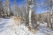 Photo 2 for 11708 Canyon Rim Rd