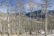 Photo 6 for 11708 Canyon Rim Rd
