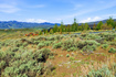 Photo 4 for 2562 E Canyon Gate Rd