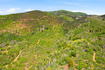 Photo 5 for 3090  Rocky Rd
