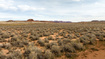 Photo 3 for 1223  Hwy 89a
