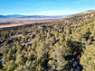 Photo 6 for 19 E Horseshoe Mtn Estate Rnch