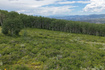 Photo 6 for 22213 E Snowbird