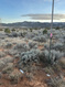 Photo 6 for 2410 S 11600 W