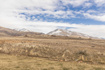 Photo 5 for 4434 N 4150 E