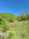 Photo 4 for 4810 E Badger Hollow Ln