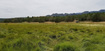 Photo 1 for 2835 E 2200 S