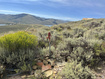 Photo 4 for 49 Aspen Cv