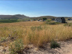 Photo 4 for 2640 S Eagle Dr