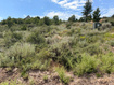 Photo 3 for 3524 E Panorama Dr